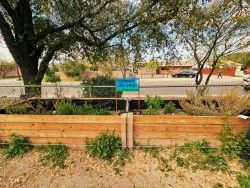 Garden plots that have herbs planted in them.