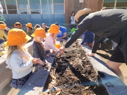 a group of children are gathered around a gardening bed and are learning from an educator