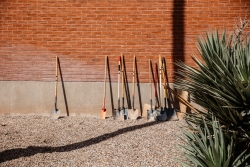 Ten shovels all lined up next to each other, resting on a wall.