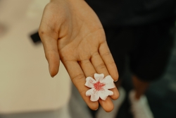 A persons hand holding a clay cherry blossom. 