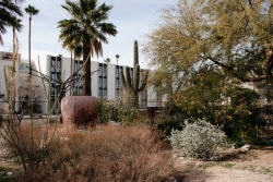 An outside view of bushes of plants growing in front of a building.