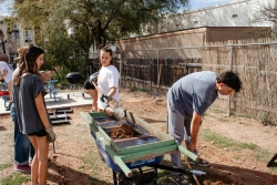 A group of people holding shovels and digging.