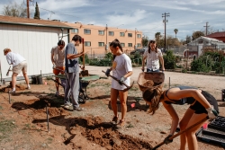 A group of people holding shovels and digging.