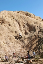 A group of people rock climbing.