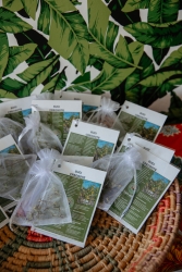 Multiple small white and clear bags laid out in a wooden bowl. Each bag has a small piece of Sugi Creosote.