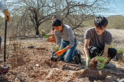 Two people bend down to plant grass. 
