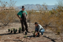 One person overlooks another individual planting grass. There are small container of other plants next to them. 