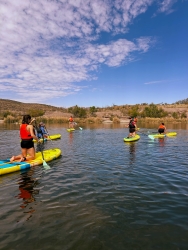 Multiple people standing on paddle boards in the water.