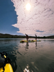 Multiple people standing on paddle boards in the water.