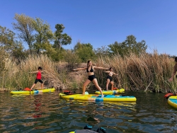 Multiple people standing on paddle boards in the water and doing yoga poses.