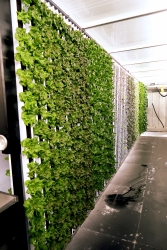 A wall that is covered in plants that are growing in a hydroponic system.