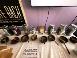 Multiple jars full of different herbs are lined up on a table. In front of each jar is a wooden bowl and a wooden spoon.