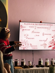 A person standing next to a television that is showcasing a presentation slide. Underneath the television is a table that has a line of multiple jars filled with different herbs. In front of the jars are small wooden bowls and wooden spoons. 