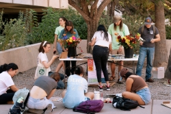 A group of people sitting in front of a table, pressing flowers using cardboard and newspaper.