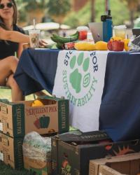 Produce and snacks are presented on the table for the market. The Student's for Sustainability logo is draped on the table.
