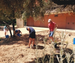 students installing native plant gardens near McClelland