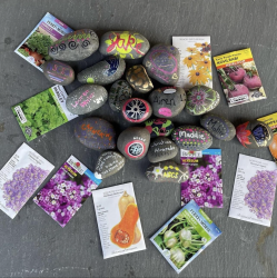 A photo from above shows colorful painted rocks and seed packets spread on a table. 