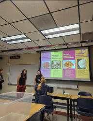 Two people presenting to a class.