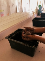 A person holding and making a seed ball in a bin.