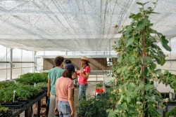 three people standing in a greenhouse