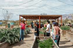 a group of students listening to a tour guide give information about the teaching farm