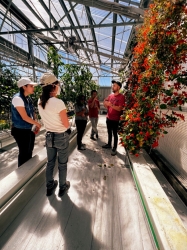 attendees at a workshop stand inside a greenhouse 