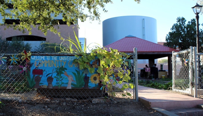 At the entrance to the UArizona Community plants grow up a chain-link fence and surround a hand painted sign welcoming visitors to the garden.