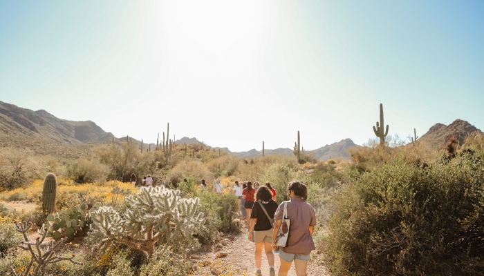 A group of people hiking on a desert mountain.