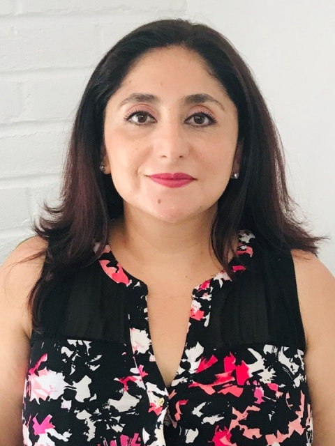 Ilse Rojas-Hamilton