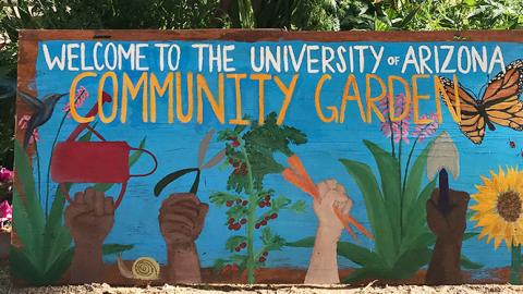 Sign with text stating "Welcome to the University of Arizona Community Garden." 