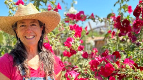 A woman stands in front of several hollihock plants