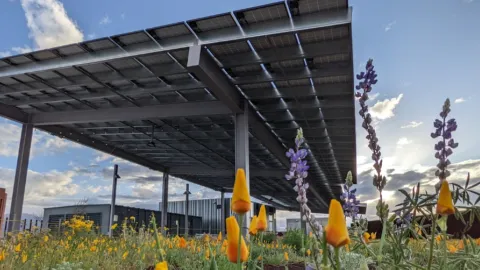 The Green Roof Project atop the Environment and Natural Resources 2 building pairs solar panels with garden plots, a system called agrivoltaics.