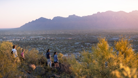 A small group of people overlooking the summit of Tumamoc
