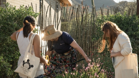 Three people standing near each other. They are surrounded by bushes and plants. One person is holding a hose.