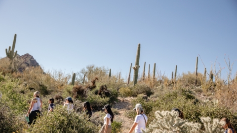 A line of people hiking up a desert mountain.