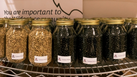 jars lined up and labeled with a sticker reading "Campus Pantry"