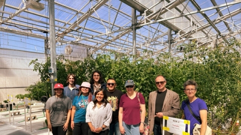 Workshop attendees line up for a photo in front of tomato plants. 